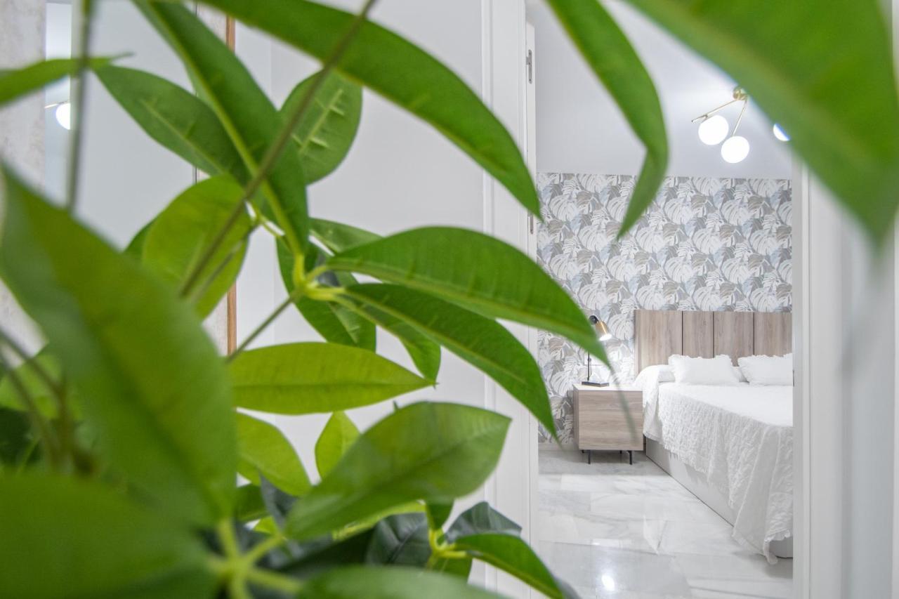Apartamento La Magnolia De Καντίζ Εξωτερικό φωτογραφία